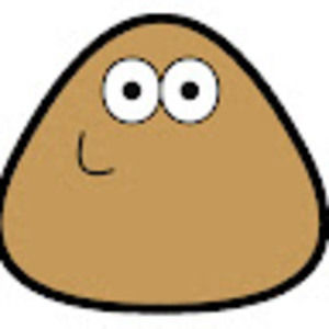 Meet your Posher, Everett